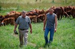 ESAP2020-R1-NY-SK Herefords_0223