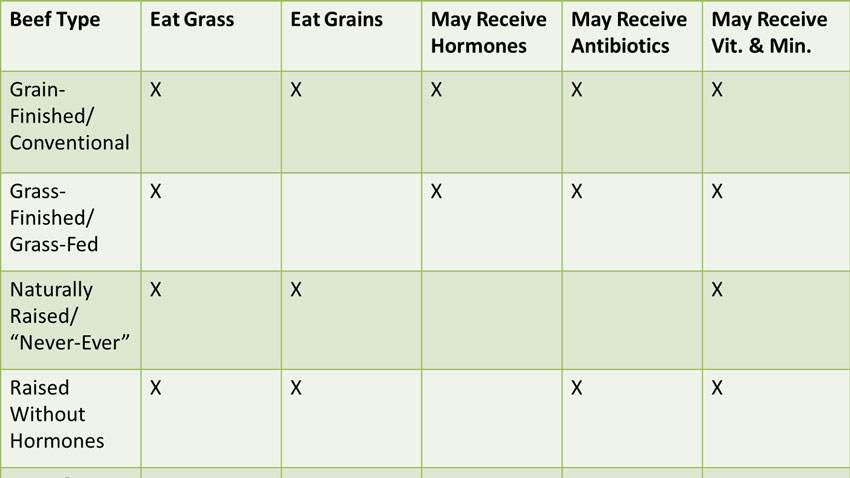 choices of beef antibiotics cheat sheet