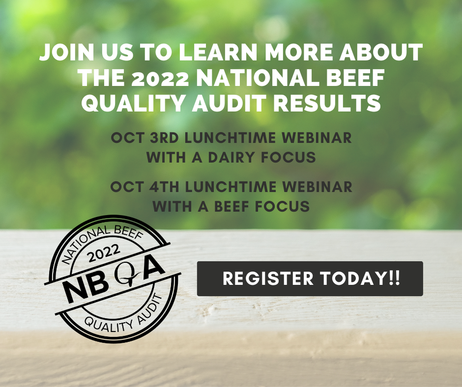 National Beef Quality Audit (NBQA) Webinars Offer Valuable Insights for Beef & Dairy Producers
