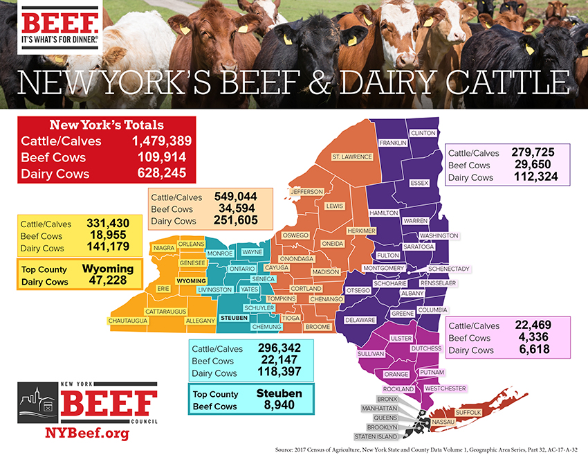 NY Infographics-2019_v3-1