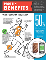 protein benefits graphic