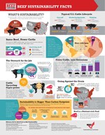 sustainability fact sheet 