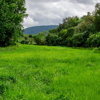 ez-acres